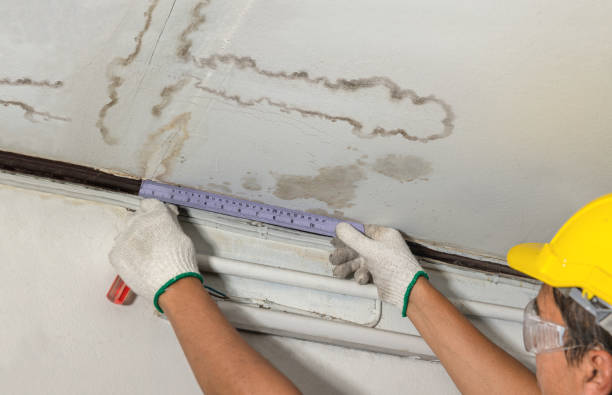 Reliable Sewage Cleanup contractor in Townsend, MA by Water Damage Irwin